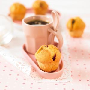 Mini-muffins canneberge